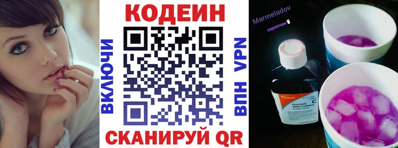 Купить закладки  Петровск-Забайкальский  Кодеин напиток Lean (лин) 