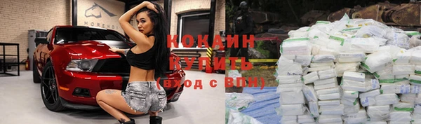 сатива Бугульма