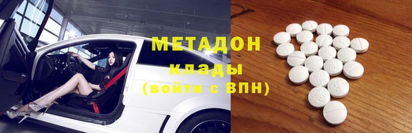 индика Бородино