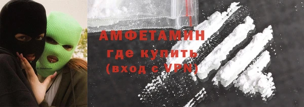 индика Бородино