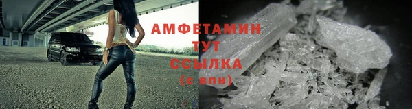 индика Бородино