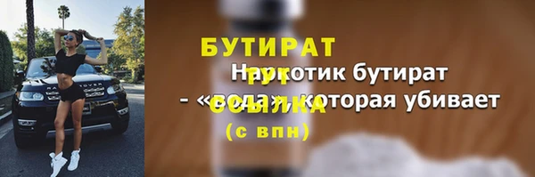 индика Бородино