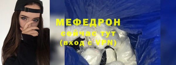 индика Бородино