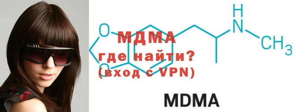 индика Бородино
