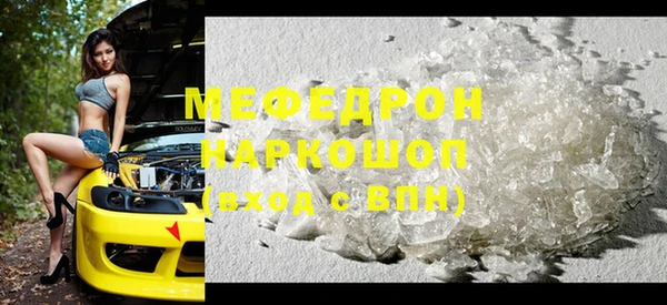 индика Бородино