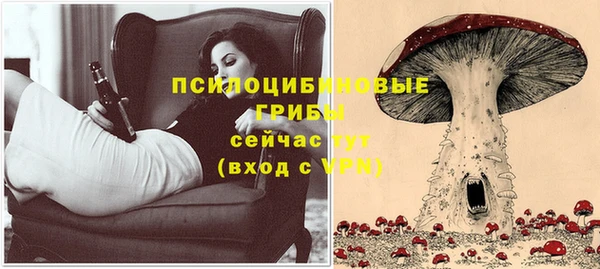 сатива Бугульма