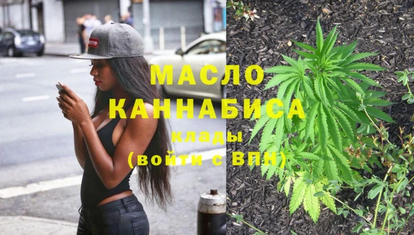 индика Бородино