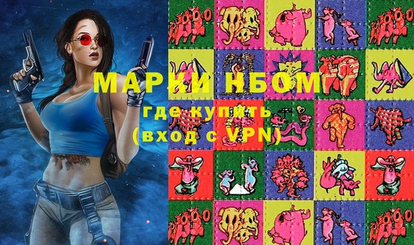 индика Бородино
