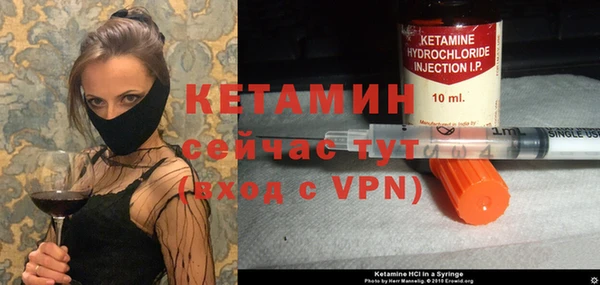 индика Бородино