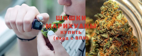 сатива Бугульма