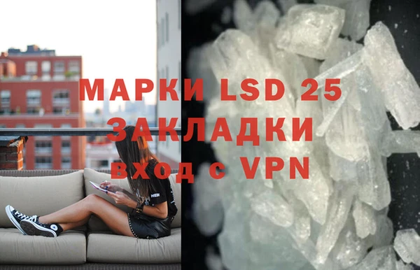 индика Бородино
