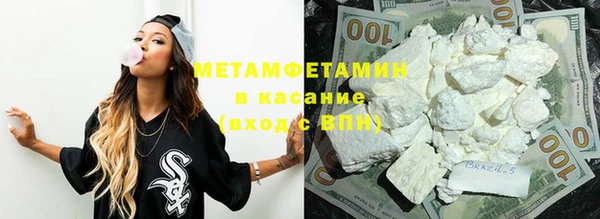 индика Бородино