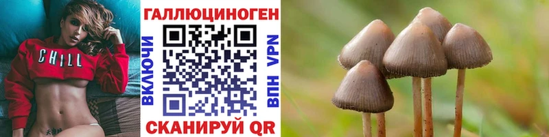 Купить Петровск-Забайкальский Галлюциногенные грибы мухоморы